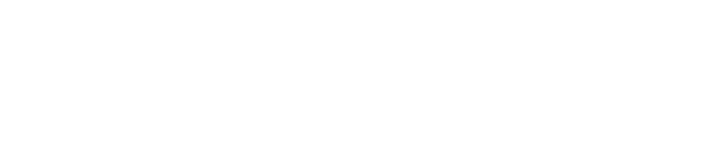 Employer Lawyer